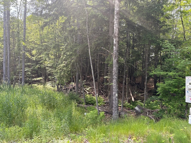 560 Morrill Pond Rd, Hartland, ME 04943 - photo 6