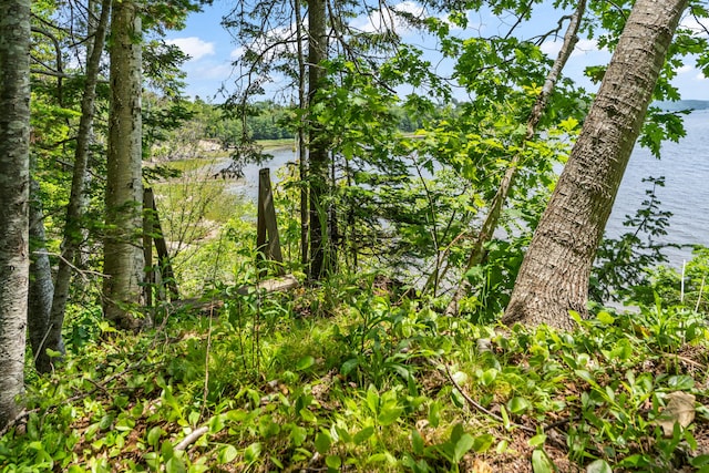 96 Pirates Cove Rd, Stockton Springs, ME 04981 - photo 48
