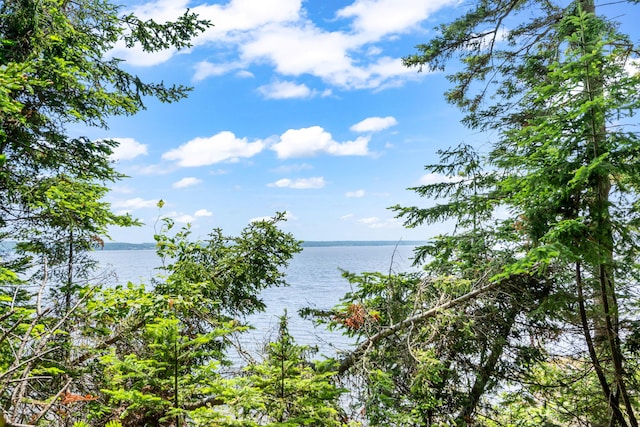 96 Pirates Cove Rd, Stockton Springs, ME 04981 - photo 51