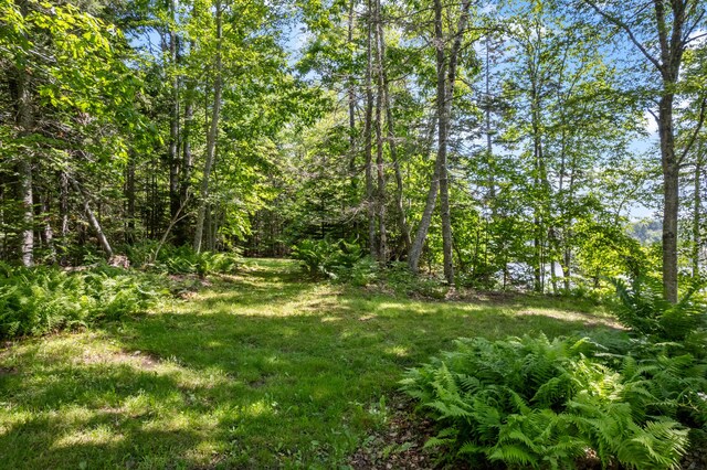 96 Pirates Cove Rd, Stockton Springs, ME 04981 - photo 52