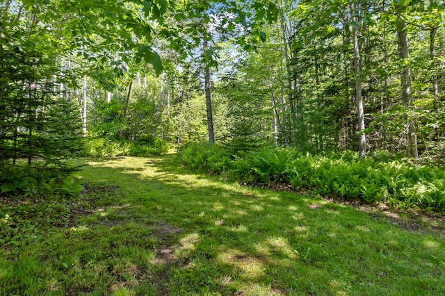 96 Pirates Cove Rd, Stockton Springs, ME 04981 - photo 53