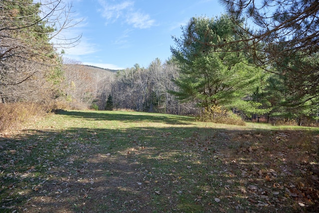 259 Mountain St, Camden, ME 04843 - view of green lawn with a view of trees