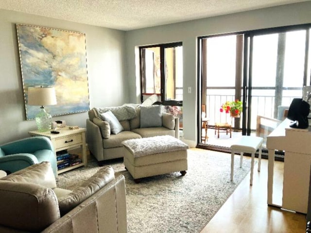 205 E Grand Ave Unit 7D, Old Orchard Beach, ME 04064 - living area with a textured ceiling and wood finished floors