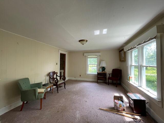 1069 Rte 193, Deblois, ME 04622 - living area with carpet flooring and baseboards