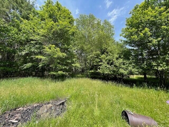 1069 Rte 193, Deblois, ME 04622 - view of yard