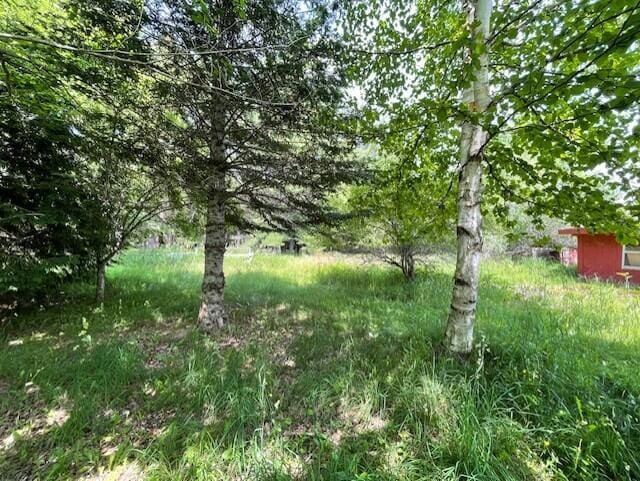 1069 Rte 193, Deblois, ME 04622 - view of yard