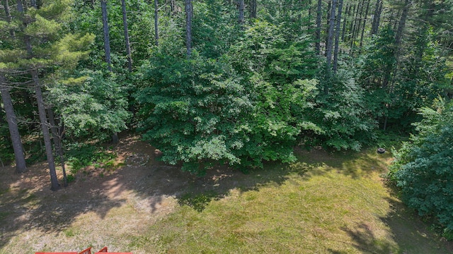 68 Hannibal Cir, Denmark, ME 04022 - view of nature
