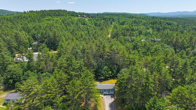68 Hannibal Cir, Denmark, ME 04022 - aerial overview of property's location with a heavily wooded area and a mountainous background