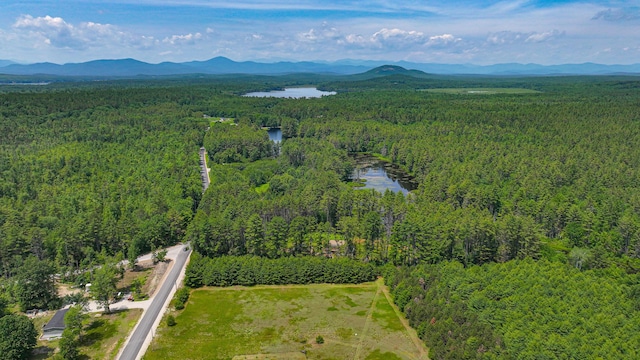 68 Hannibal Cir, Denmark, ME 04022 - aerial overview of property's location featuring a water and mountain view