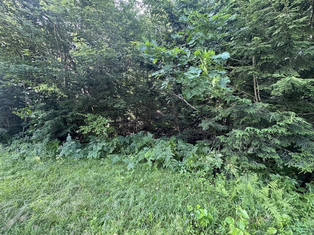 9 Pinewood Dr Map6, Corinth, ME 04427 - photo 2