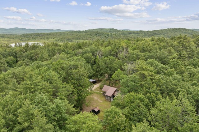 63 Chick Rd, Parsonsfield, ME 04047 - photo 47