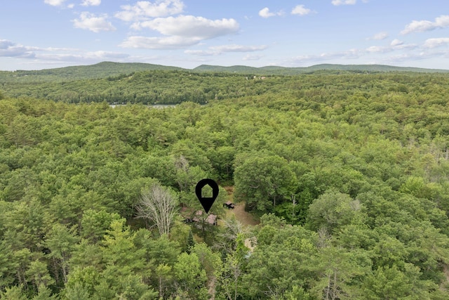63 Chick Rd, Parsonsfield, ME 04047 - photo 48