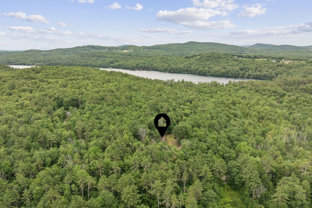 63 Chick Rd, Parsonsfield, ME 04047 - photo 50
