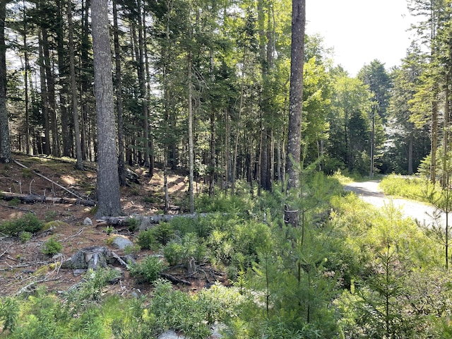 LotA Red Spruce Way, Mount Desert, ME 04660 - photo 3
