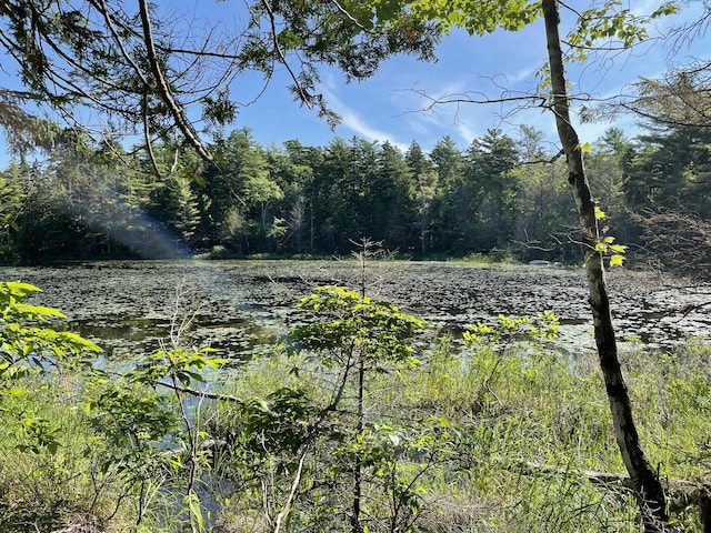 LotA Red Spruce Way, Mount Desert, ME 04660 - photo 4