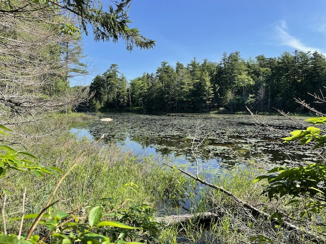 LotA Red Spruce Way, Mount Desert, ME 04660 - photo 5