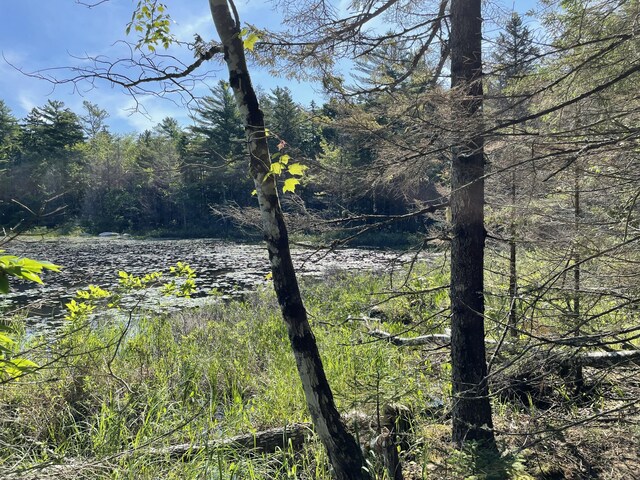 LotA Red Spruce Way, Mount Desert, ME 04660 - photo 6