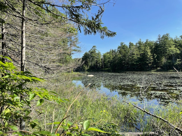 LotA Red Spruce Way, Mount Desert, ME 04660 - photo 7