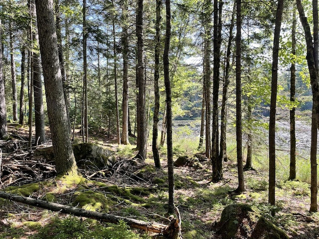 LotA Red Spruce Way, Mount Desert, ME 04660 - photo 8