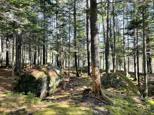 LotA Red Spruce Way, Mount Desert, ME 04660 - photo 9