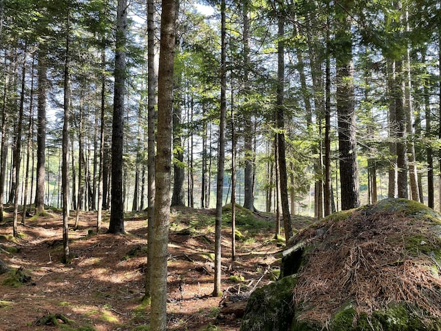LotA Red Spruce Way, Mount Desert, ME 04660 - photo 10