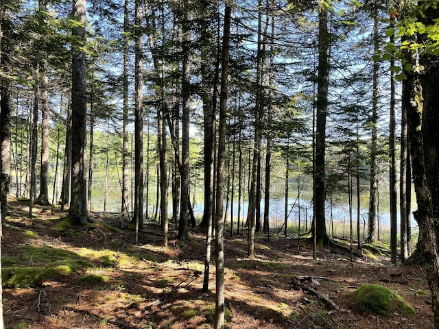 LotA Red Spruce Way, Mount Desert, ME 04660 - photo 11