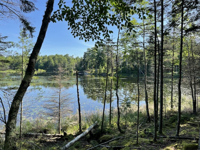 LotA Red Spruce Way, Mount Desert, ME 04660 - photo 1