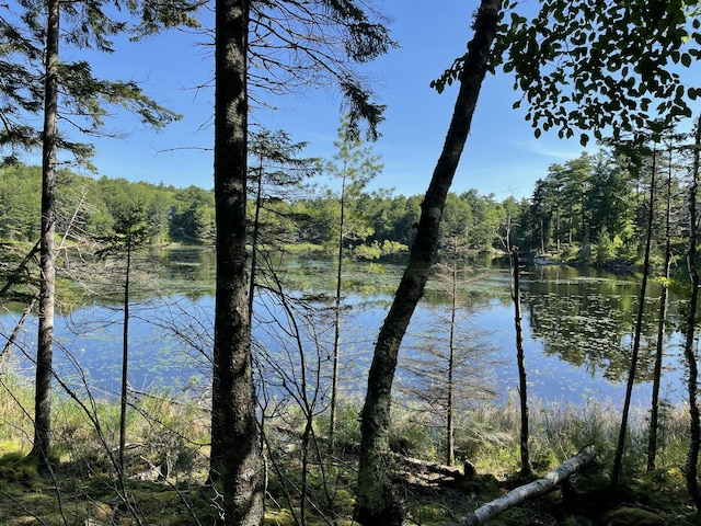 LotA Red Spruce Way, Mount Desert, ME 04660 - photo 12