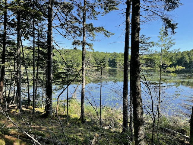 LotA Red Spruce Way, Mount Desert, ME 04660 - photo 13