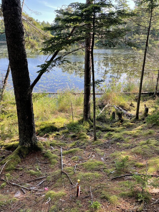 LotA Red Spruce Way, Mount Desert, ME 04660 - photo 14