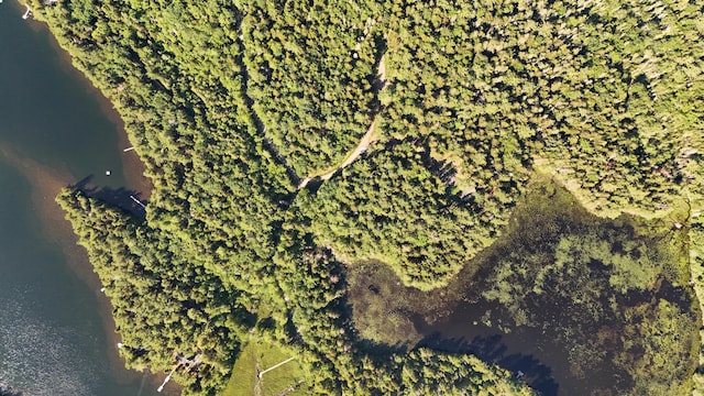 LotA Red Spruce Way, Mount Desert, ME 04660 - photo 15
