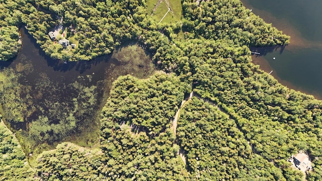 LotA Red Spruce Way, Mount Desert, ME 04660 - photo 16