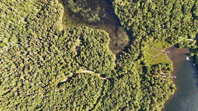 LotA Red Spruce Way, Mount Desert, ME 04660 - photo 18