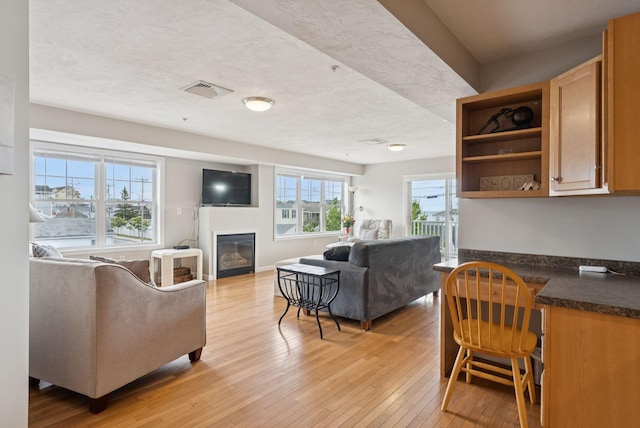 170 E Grand Ave Unit 8, Old Orchard Beach, ME 04064 - living area featuring light wood-style floors and a glass covered fireplace