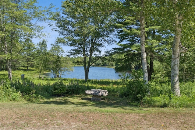 41 Beaver Lodge Ln, Phippsburg, ME 04562 - photo 79