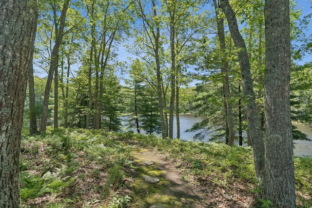 41 Beaver Lodge Ln, Phippsburg, ME 04562 - photo 87