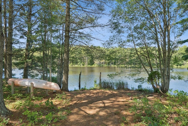 41 Beaver Lodge Ln, Phippsburg, ME 04562 - photo 89