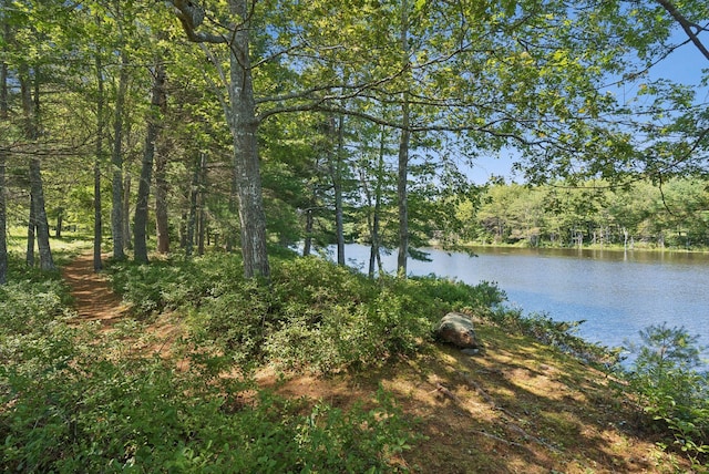 41 Beaver Lodge Ln, Phippsburg, ME 04562 - photo 90