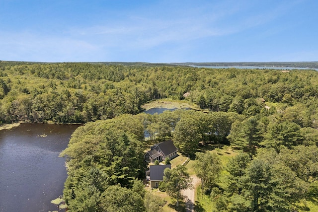 41 Beaver Lodge Ln, Phippsburg, ME 04562 - photo 11