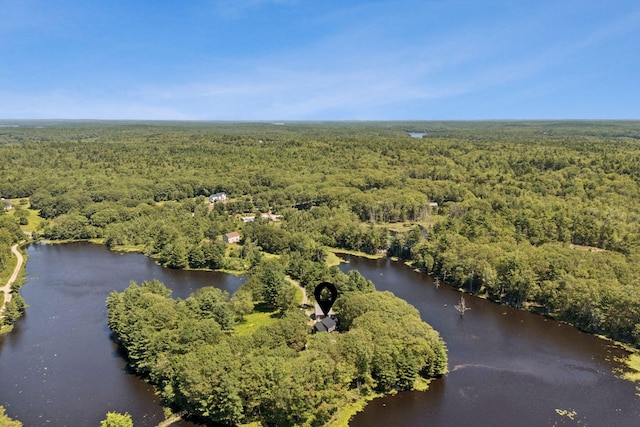 41 Beaver Lodge Ln, Phippsburg, ME 04562 - photo 96