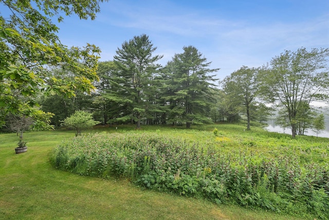 41 Beaver Lodge Ln, Phippsburg, ME 04562 - photo 103