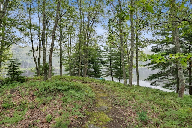 41 Beaver Lodge Ln, Phippsburg, ME 04562 - photo 107