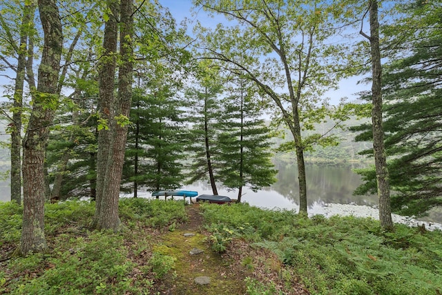41 Beaver Lodge Ln, Phippsburg, ME 04562 - photo 108
