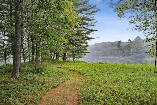 41 Beaver Lodge Ln, Phippsburg, ME 04562 - photo 111