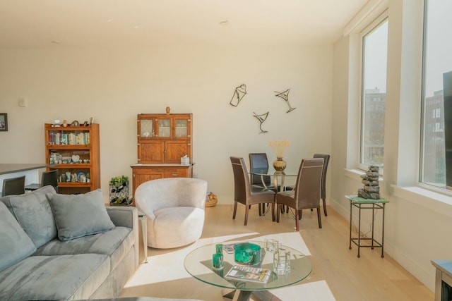 167 Newbury St Unit 206, Portland, ME 04101 - living room featuring light wood finished floors and baseboards