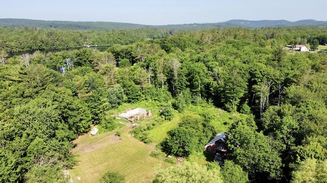 LOT9B Pulsifer Rd, Livermore, ME 04253
