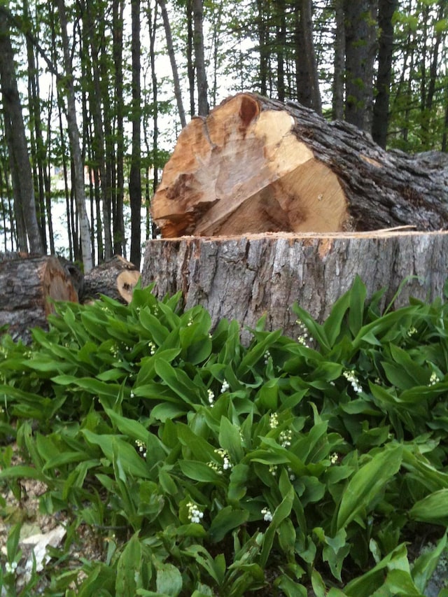 323 Pine St, Dover-Foxcroft, ME 04426