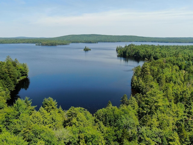 21 Spruce Point Rd, Lowell, ME 04493