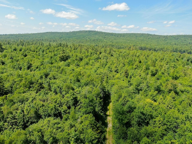21 Spruce Point Rd, Lowell, ME 04493