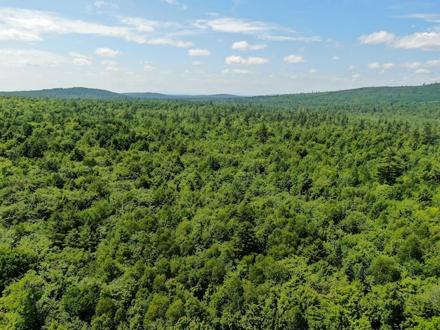 21 Spruce Point Rd, Lowell, ME 04493